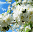 1 мая – Праздник Весны и Труда - Руднянский район