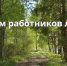 21 сентября – День работников леса - фото - 1 - Руднянский район