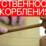Ответственность за оскорбление - Руднянский районный суд