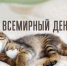 Онлайн-заметка «Всемирный день сна» (Центральная библиотека) - Руднянская ЦБС